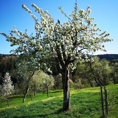 アパート Am Hummelberghof