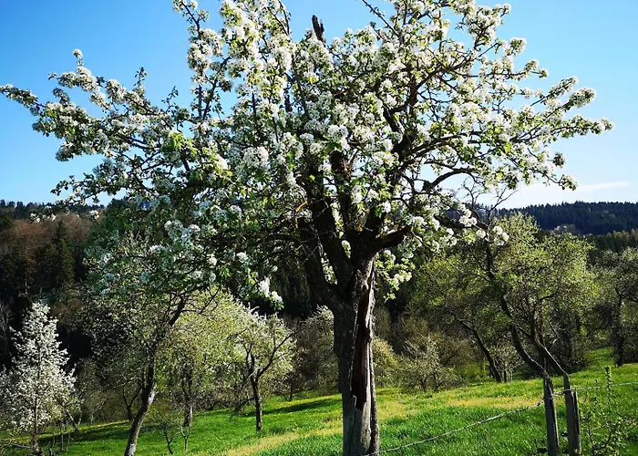 Lägenhet Am Hummelberghof
